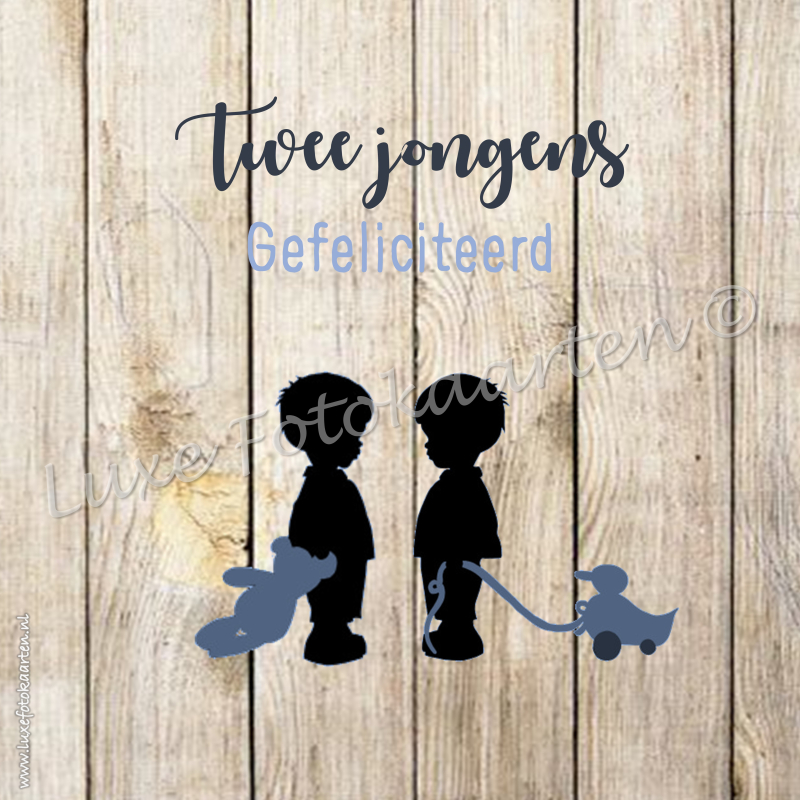 Geboorte Tweeling - 2 jongens